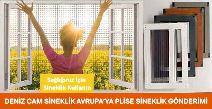 Almanya’ya Sineklik Gönderimi