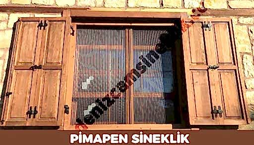 Pimapen Sineklik